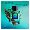 Eau de Parfum True Instinct DAVID BECKHAM