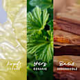 Inspired Nature for him Eau de Parfum Mexx