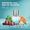 Eau de Toilette Ice Touch Man Mexx
