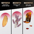 Duschgel 3in1 Loyal Man Bruno Banani