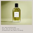 Botanical Resin Eau de Parfum DAVID BECKHAM