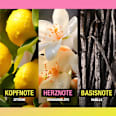 Lasting Glow Eau de Parfum MANHATTAN Cosmetics