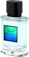 True Instinct Eau de Parfum DAVID BECKHAM