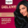 barva na vlasy Modročerný 1-1 Palette DELUXE