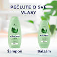 šampon na vlasy 7 bylin schauma