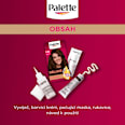 barva na vlasy Čokoládový 3-65 Palette DELUXE
