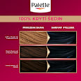 barva na vlasy Modročerný 1-1 Palette DELUXE
