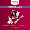 barva na vlasy Tmavě fialový 4-99 Palette DELUXE