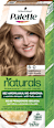 Boja za kosu – 8-0 svetloplava  Palette naturals COLOR CREME