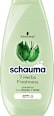 7 Herbs Freshness -  schauma