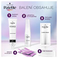 Vopsea permanentă A10 (10-2) Blond Ultra Cenușiu Palette INTENSIVE COLOR CREME