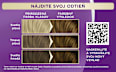 Farba na vlasy - 6-65 nugát Palette INTENSIVE COLOR CREME