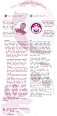 Schnuller Cherry Latex, lachs/pink, Gr.1, 0-6 Monate Nip