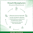 Allzweckreiniger Orange Frosch