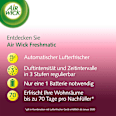 Lufterfrischer Freshmatic Sommervergnügen Nachfüllpack (2x250 ml) AirWick