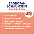 Schaumhandseife Kirschblüte & Rose Nachfüllpack Sagrotan