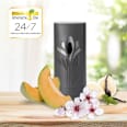 Lufterfrischer Freshmatic Sommervergnügen Starter-Set AirWick