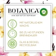 Duftkerze im Glas Himalaya-Magnolie & Vanille 205 g BOTANICA BY AIR WICK