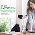 Duftvase mit Aromaperlen Sommervergnügen AirWick