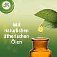 Lufterfrischer Freshmatic Sommervergnügen Nachfüllpack (2x250 ml) AirWick