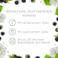 Duftkerze im Glas Brombeere & Holunderblüte (2x105 g) AIR WICK