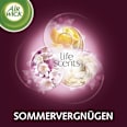 Lufterfrischer Freshmatic Sommervergnügen Starter-Set AirWick