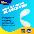 Blasenpfaster Scholl