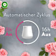 Lufterfrischer Aroma-Öl Flakon Nachfüller Beruhigende Rose AIR WICK