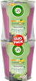 Duftkerze im Glas Brombeere & Holunderblüte (2x105 g) AirWick