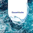 WC-Reinigungstücher Desinfektion Sagrotan