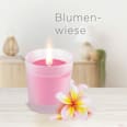 Duftkerze im Glas Blumenwiese 105g AirWick