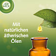 Duftkerze Entspannung Besinnlicher Apfel & Zimt, 310g AirWick