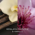 Duftkerze im Glas Himalaya-Magnolie & Vanille 205 g BOTANICA BY AIR WICK
