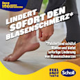 Blasenpfaster Scholl