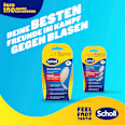 Blasenpfaster Scholl