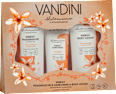 Geschenkset Energy Körperpflege VANDINI