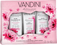 Geschenkset Nutri Körperpflege VANDINI