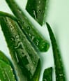 Naturally Good Deodorant Roll-On Bio Aloe Vera NIVEA