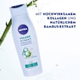 Shampoo Volume Wonder  NIVEA