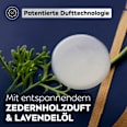Duschgel Total Relax 3in1 NIVEA MEN