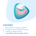 zubní pasta regenerace dásní meridol
