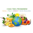 Teemischung "taste my world", 4 verschiedene Teesorten (16 Beutel) Teaya