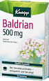 Baldrian 500mg Tabletten Kneipp