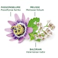 Arzneitee, Schlaf- & Nerven Tee (8 Beutel) Bad Heilbrunner