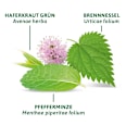 Kräutertee Basisch mit Zink (8 Beutel) Bad Heilbrunner