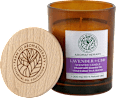 Duftkerze im Glas Aromatherapy Lavender + CBD GALA