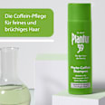 39 Phyto-Coffein Shampoo feines Haar Plantur 39