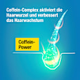 Shampoo Hybrid Coffein Alpecin
