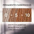 Shampoo Anti-Grau Effekt Warme Töne Plantur 39