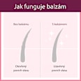 balzám na vlasy #longhair Plantur 21
